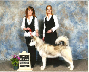 bevcarolinemoon2ndinpuppy.jpg