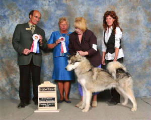 gryphonnewchampionbob3grandeprairiejune09.jpg