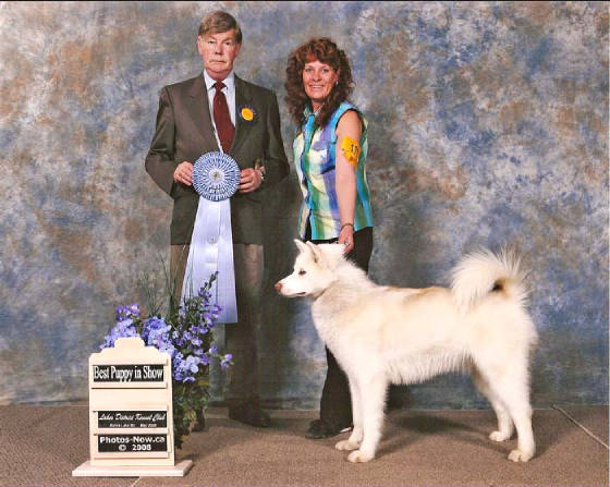 panibestpuppyinshowburnslakemay08.jpg