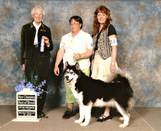 ravennewchampiontaylorbcmay2008.jpg
