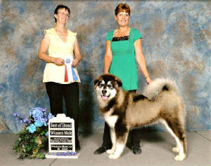 taboo6monthsgrandeprairie2008.jpg