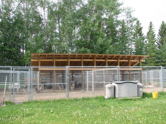 kennel1sidefrontview.jpg