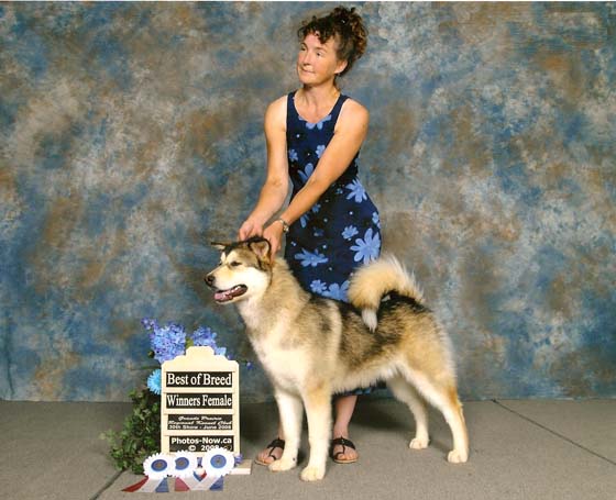 promisebofbreed3xgrandeprairiejune08.jpg