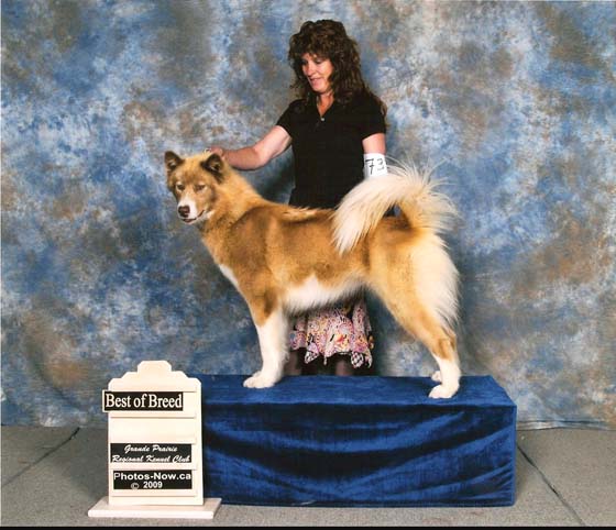 torchgrandeprairie09bestofbreed3times.jpg