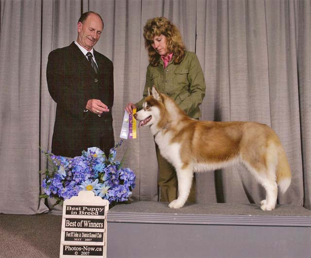 tude3pointandbestpup.jpg