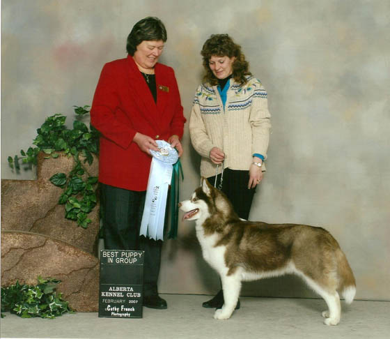 tudefirstbpuppycal.jpg